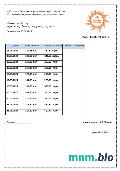 Szablon rachunku za media biznesowe Georgia Telasi w formatach Word i PDF, w pełni edytowalny